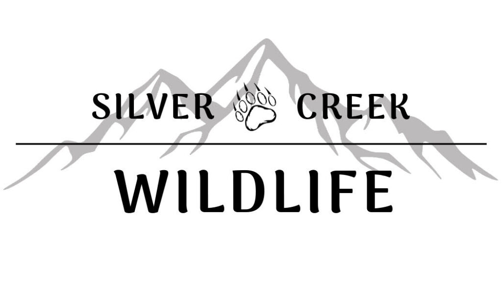 silver-creek-wildlife