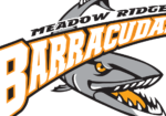 MR Barracuda Girls Hockey_vector logo - Liam Mostrenko